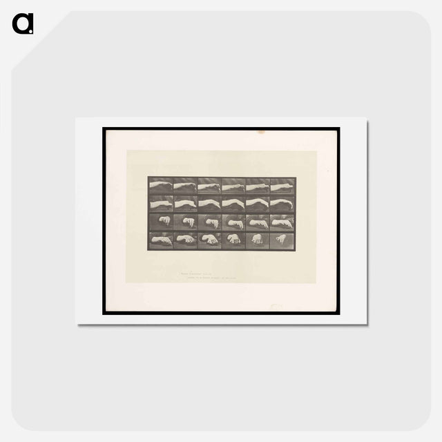 アートポストカード-Hand Drawing a Circle
 - エドワード マイブリッジ Postcard.