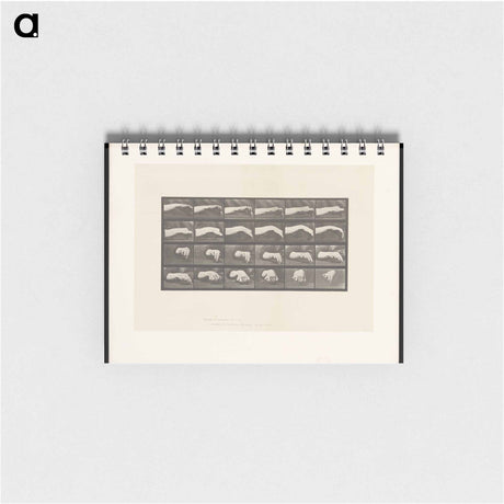 アートメモ帳-Hand Drawing a Circle
 - エドワード マイブリッジ Memo.