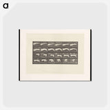 アートポストカード-Hand Drawing a Circle
 - エドワード マイブリッジ Postcard.