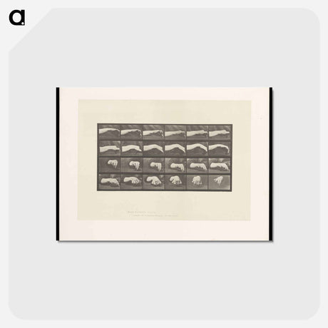 アートポストカード-Hand Drawing a Circle
 - エドワード マイブリッジ Postcard.