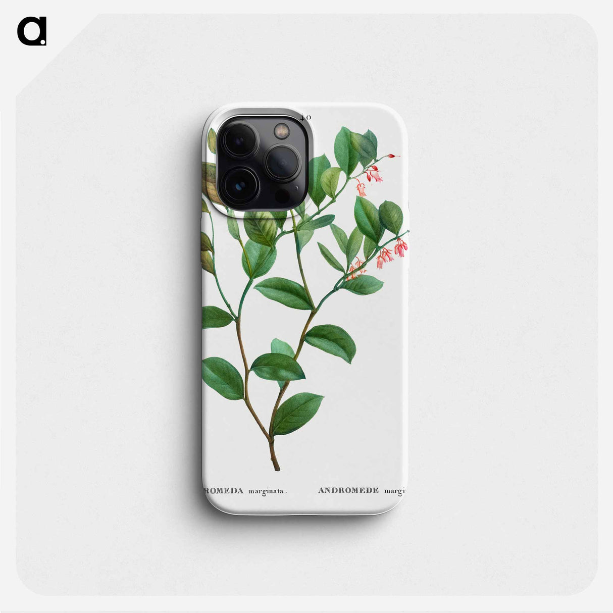 Andromeda axillaris (Andromede axillaire) - Pierre Joseph Redouté Phone Case.