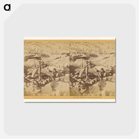 アートポストカード-The Heathen Chinee Panning Out
 - エドワード マイブリッジ Postcard.