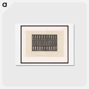 アートポストカード-Naked Woman Walking
 - エドワード マイブリッジ Postcard.