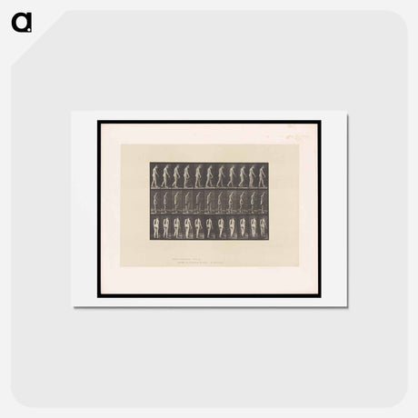 アートポストカード-Naked Woman Walking
 - エドワード マイブリッジ Postcard.