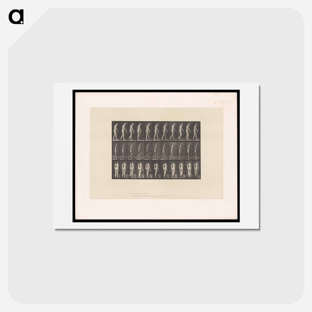 アートポストカード-Naked Woman Walking
 - エドワード マイブリッジ Postcard.