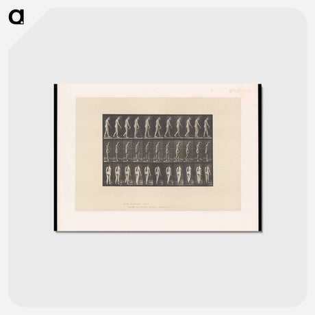 アートポストカード-Naked Woman Walking
 - エドワード マイブリッジ Postcard.