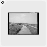アートポストカード-Irrigation Ditch, Canyon County
 - ラッセル リー Postcard.