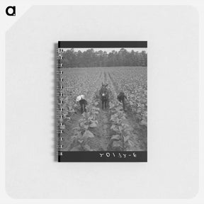 アートメモ帳-Untitled photo - ドロテア ラング Memo.