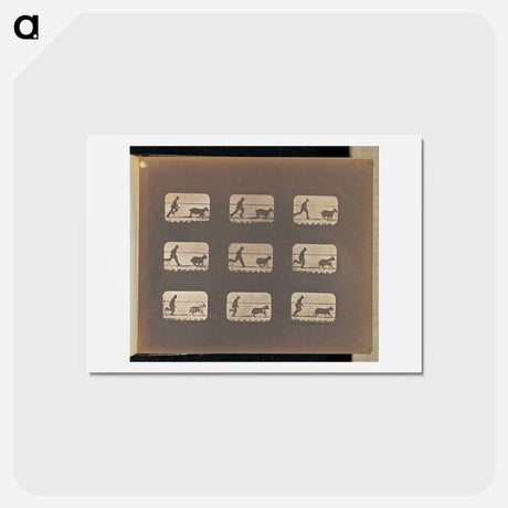 アートポストカード-Running
 - エドワード マイブリッジ Postcard.