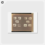 アートポストカード-Leaping
 - エドワード マイブリッジ Postcard.