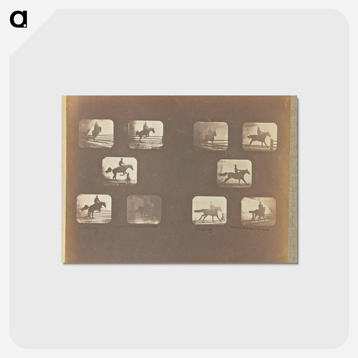 アートポストカード-Leaping
 - エドワード マイブリッジ Postcard.