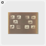 アートポストカード-Leaping
 - エドワード マイブリッジ Postcard.