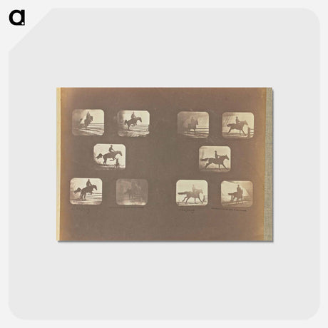 アートポストカード-Leaping
 - エドワード マイブリッジ Postcard.