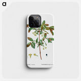 Honeyberry (Lonicera coerulea) - Pierre Joseph Redouté Phone Case.