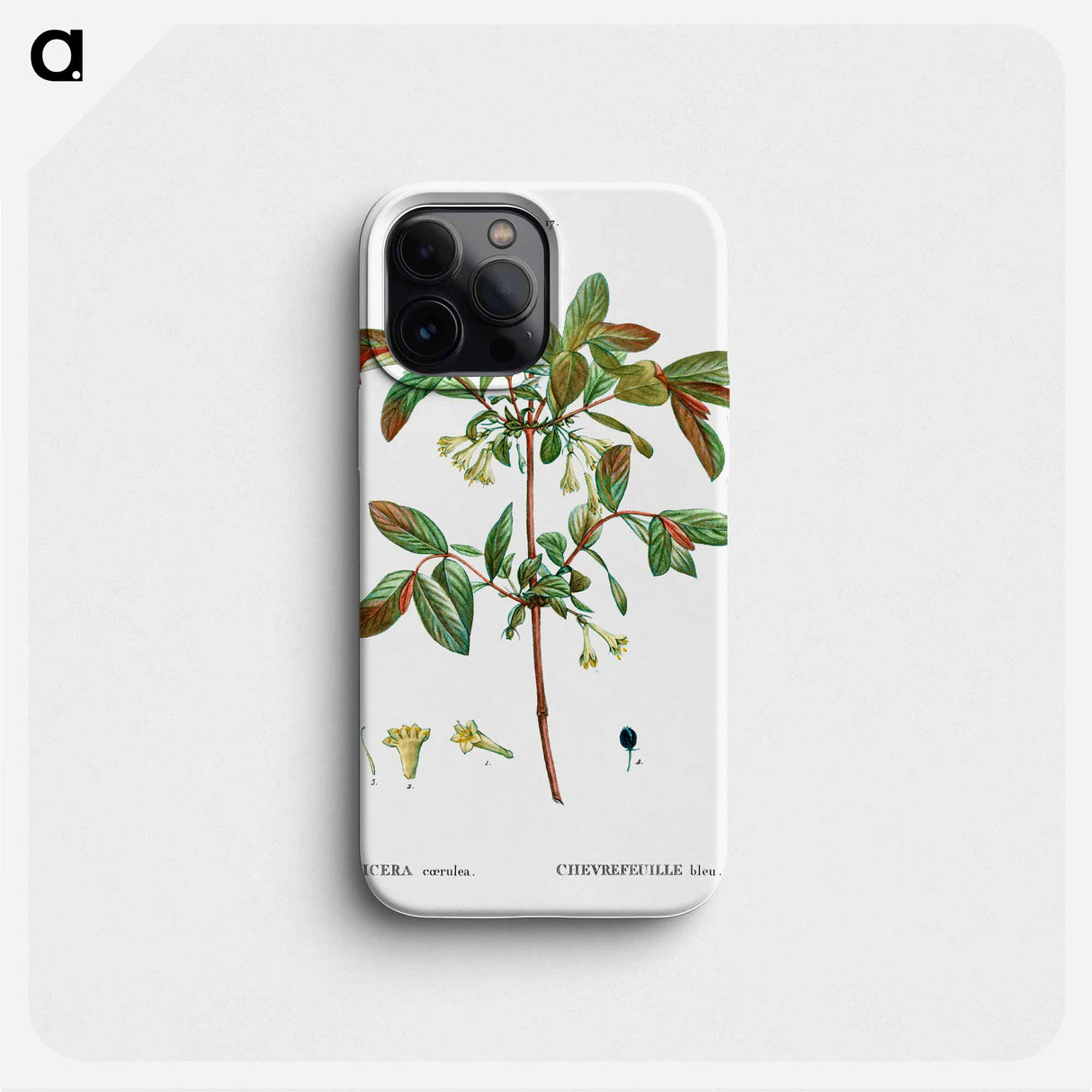 Honeyberry (Lonicera coerulea) - ピエール ジョゼフ ルドゥーテ Phone Case.