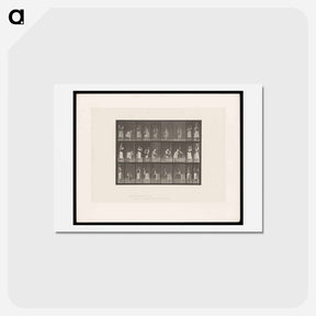 アートポストカード-Woman Pouring Water
 - エドワード マイブリッジ Postcard.