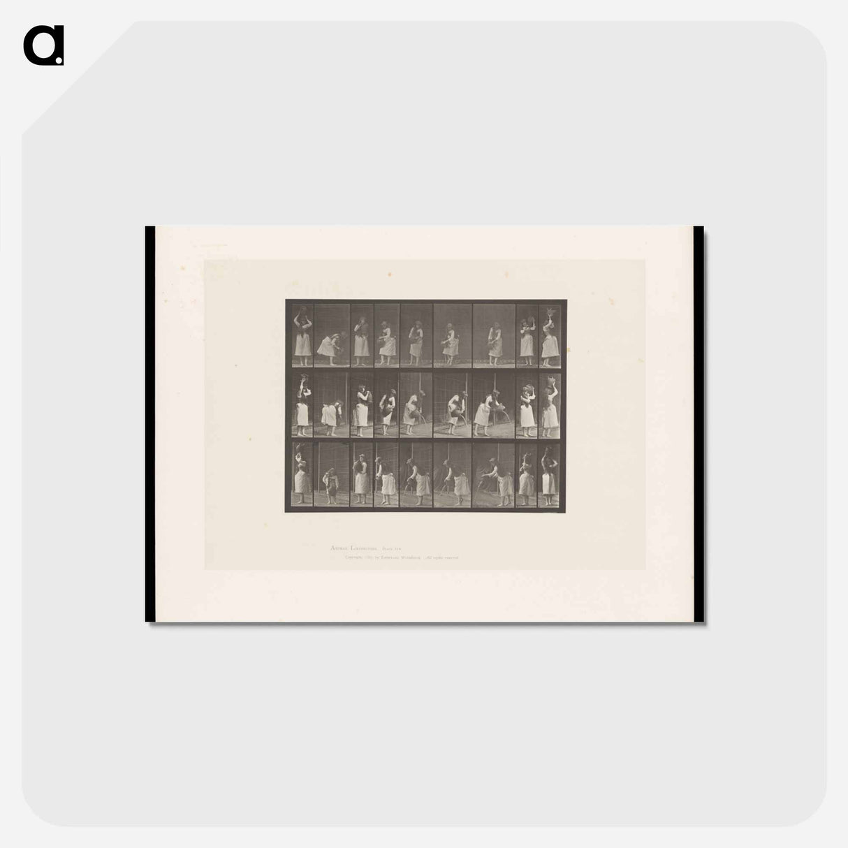 アートポストカード-Woman Pouring Water
 - エドワード マイブリッジ Postcard.