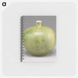 アートメモ帳-Vase
 - セントルイス美術館 Memo.