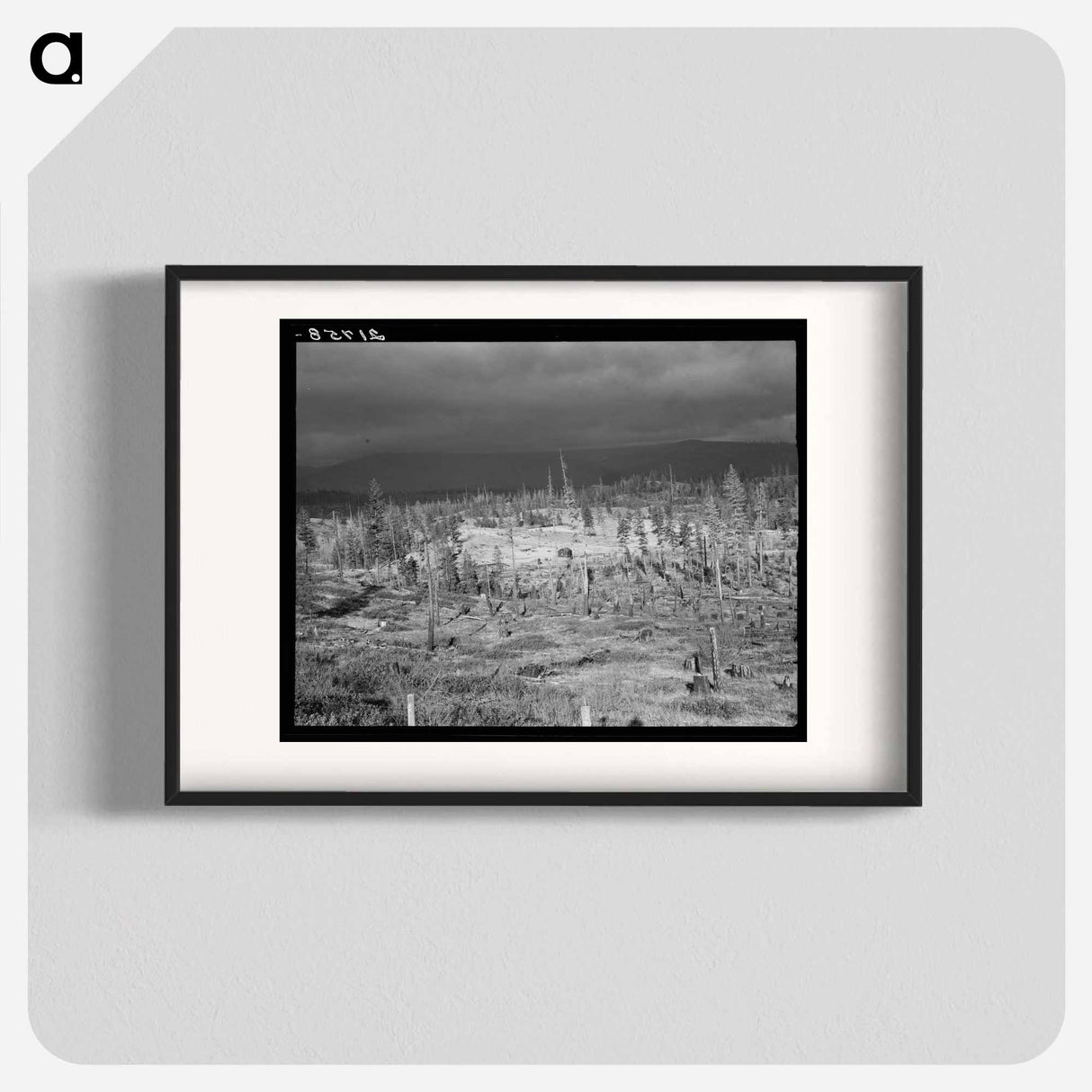 Cut-over landscape, approaching winter rain, showing settler's shack on poor sandy soil. Boundary County, Idaho. - ドロテア ラング Poster.