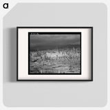 Cut-over landscape, approaching winter rain, showing settler's shack on poor sandy soil. Boundary County, Idaho. - Dorothea Lange Poster.