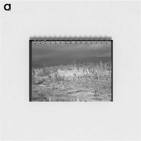 アートメモ帳-Cut-over landscape, approaching winter rain, showing settler's shack on poor sandy soil. Boundary County, Idaho. - ドロテア ラング Memo.