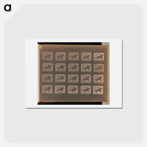 アートポストカード-Irregular Gait
 - エドワード マイブリッジ Postcard.