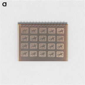 アートメモ帳-Irregular Gait
 - エドワード マイブリッジ Memo.