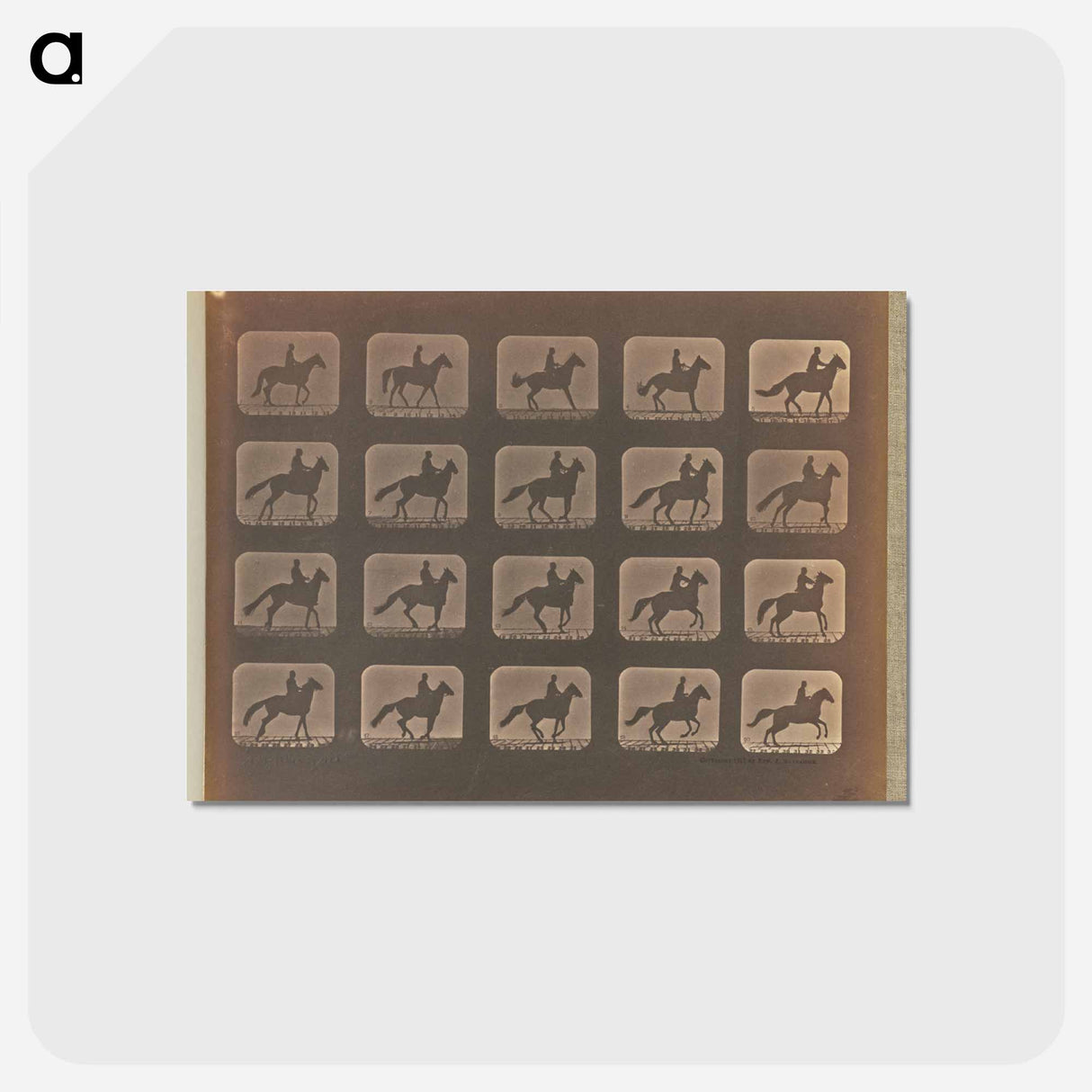 アートポストカード-Irregular Gait
 - エドワード マイブリッジ Postcard.