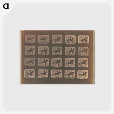 アートポストカード-Irregular Gait
 - エドワード マイブリッジ Postcard.