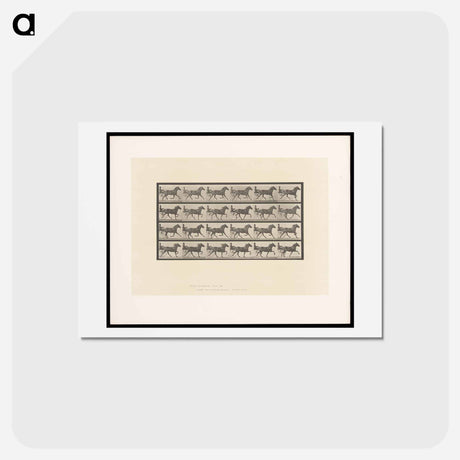 アートポストカード-Sulky Driver
 - エドワード マイブリッジ Postcard.