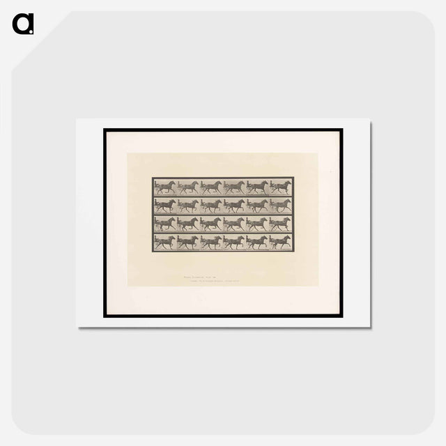 アートポストカード-Sulky Driver
 - エドワード マイブリッジ Postcard.