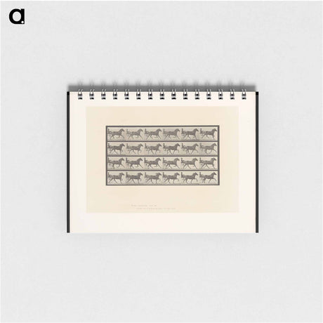 アートメモ帳-Sulky Driver
 - エドワード マイブリッジ Memo.