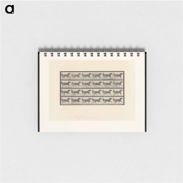 アートメモ帳-Sulky Driver
 - エドワード マイブリッジ Memo.