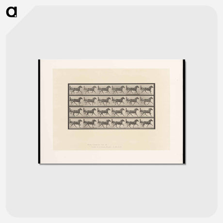 アートポストカード-Sulky Driver
 - エドワード マイブリッジ Postcard.