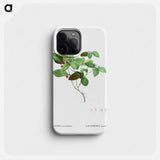 American Wintergreen - Pierre Joseph Redouté Phone Case.