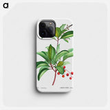 Arbutus andrachne - Pierre Joseph Redouté Phone Case.