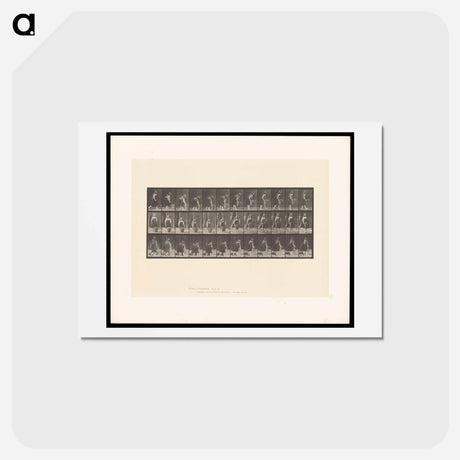 アートポストカード-The Basket
 - エドワード マイブリッジ Postcard.