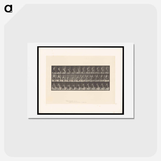 アートポストカード-The Basket
 - エドワード マイブリッジ Postcard.