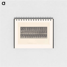 アートメモ帳-The Basket
 - エドワード マイブリッジ Memo.