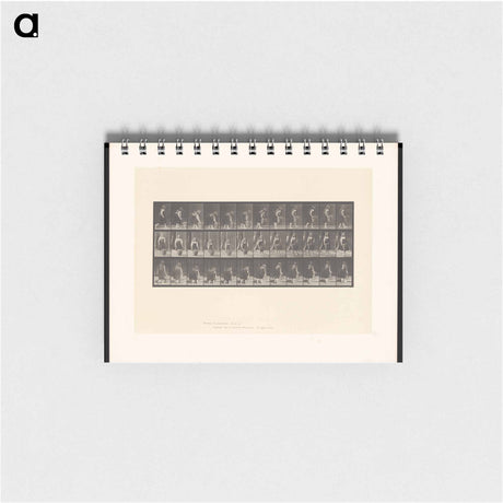 アートメモ帳-The Basket
 - エドワード マイブリッジ Memo.