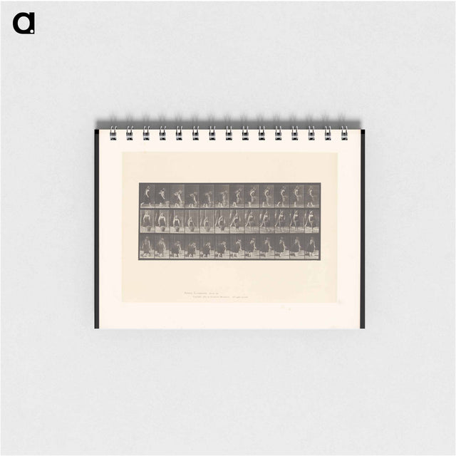 アートメモ帳-The Basket
 - エドワード マイブリッジ Memo.
