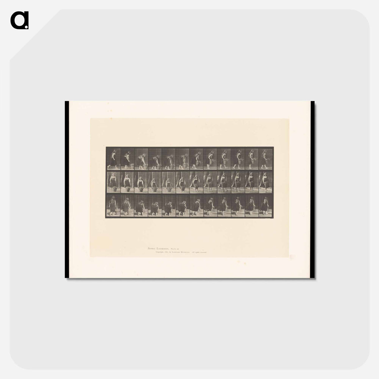 アートポストカード-The Basket
 - エドワード マイブリッジ Postcard.