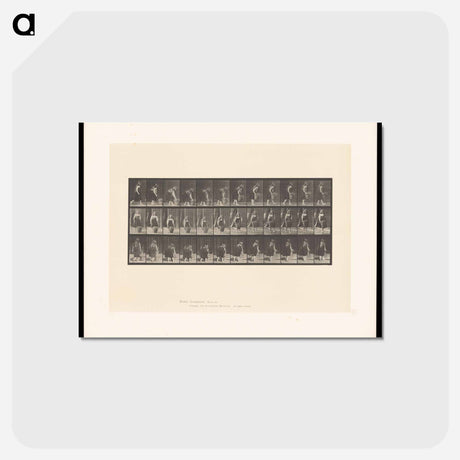 アートポストカード-The Basket
 - エドワード マイブリッジ Postcard.