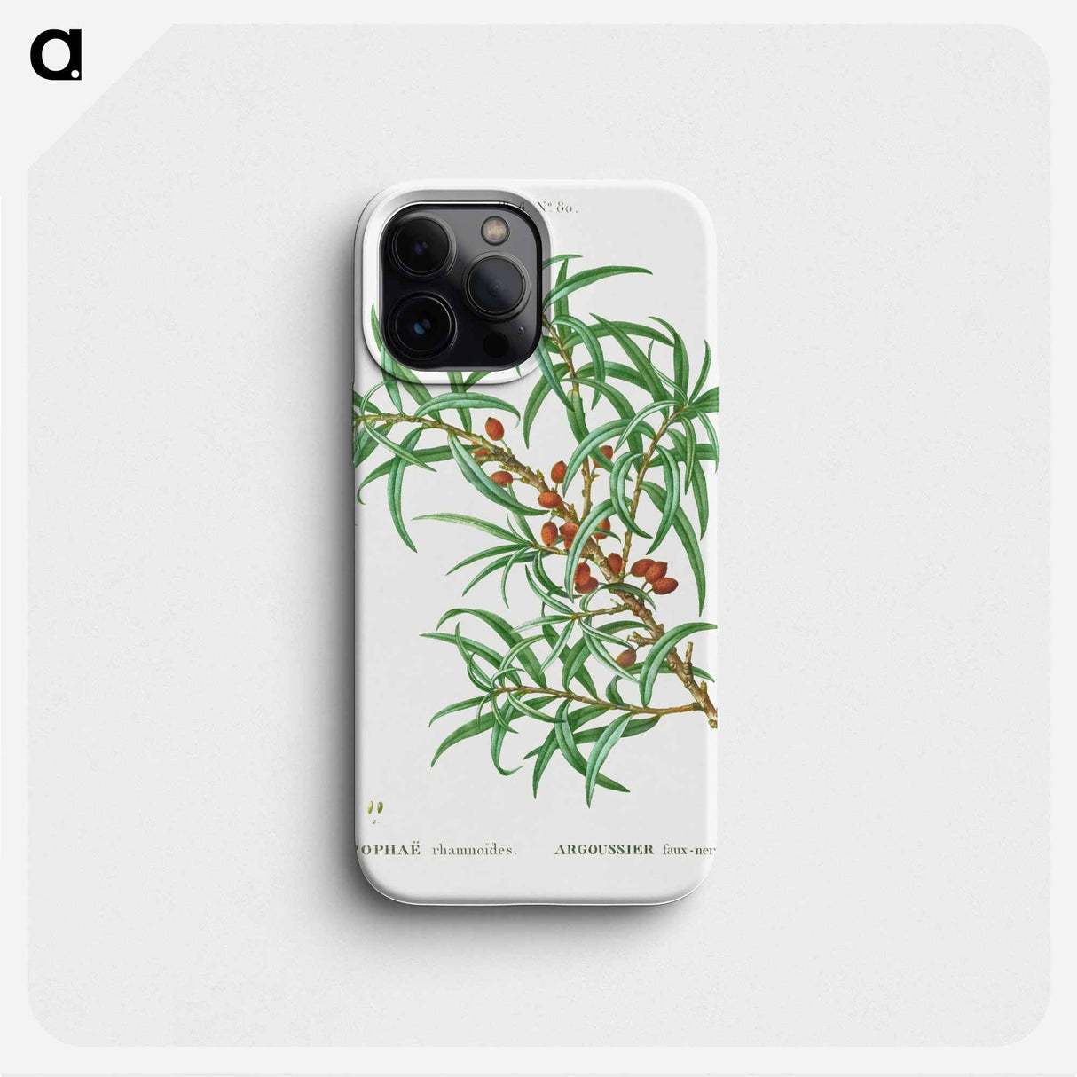 Common sea buckthorn - ピエール ジョゼフ ルドゥーテ Phone Case.