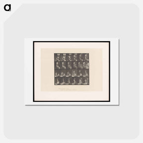 アートポストカード-Water Pour
 - エドワード マイブリッジ Postcard.
