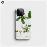 Traité des Arbres et Arbustes que l'on cultive en France en pleine terre - ピエール ジョゼフ ルドゥーテ Phone Case.