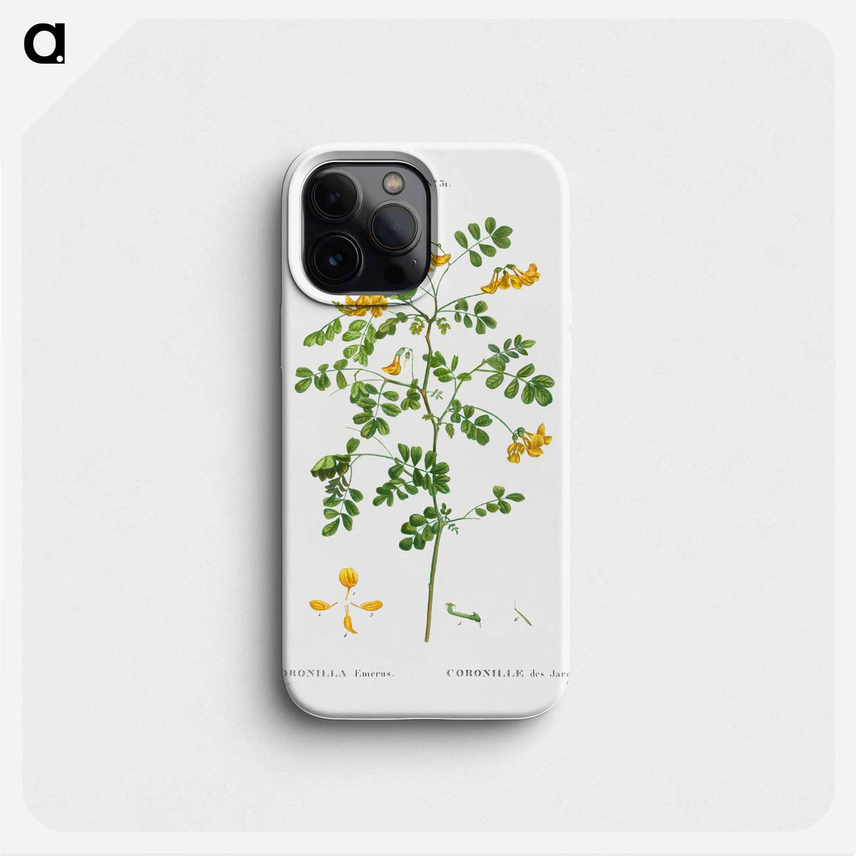 Scorpion senna, Coronilla emerus - Pierre Joseph Redouté Phone Case.