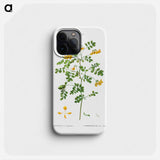 Scorpion senna, Coronilla emerus - Pierre Joseph Redouté Phone Case.