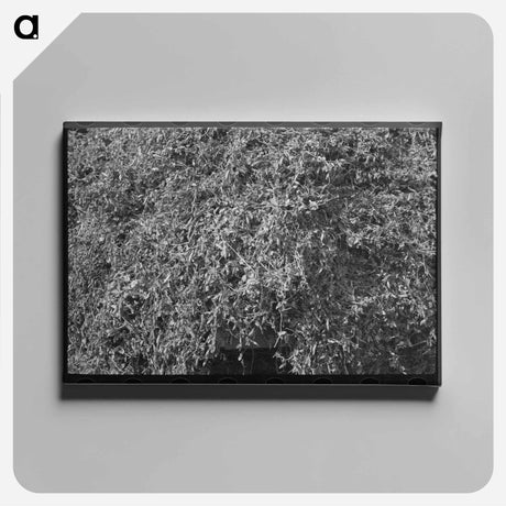 アートパネル-San Benito County Hills
 - ラッセル リー Canvas.