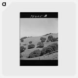 アートポストカード-San Benito County Hills
 - ラッセル リー Postcard.
